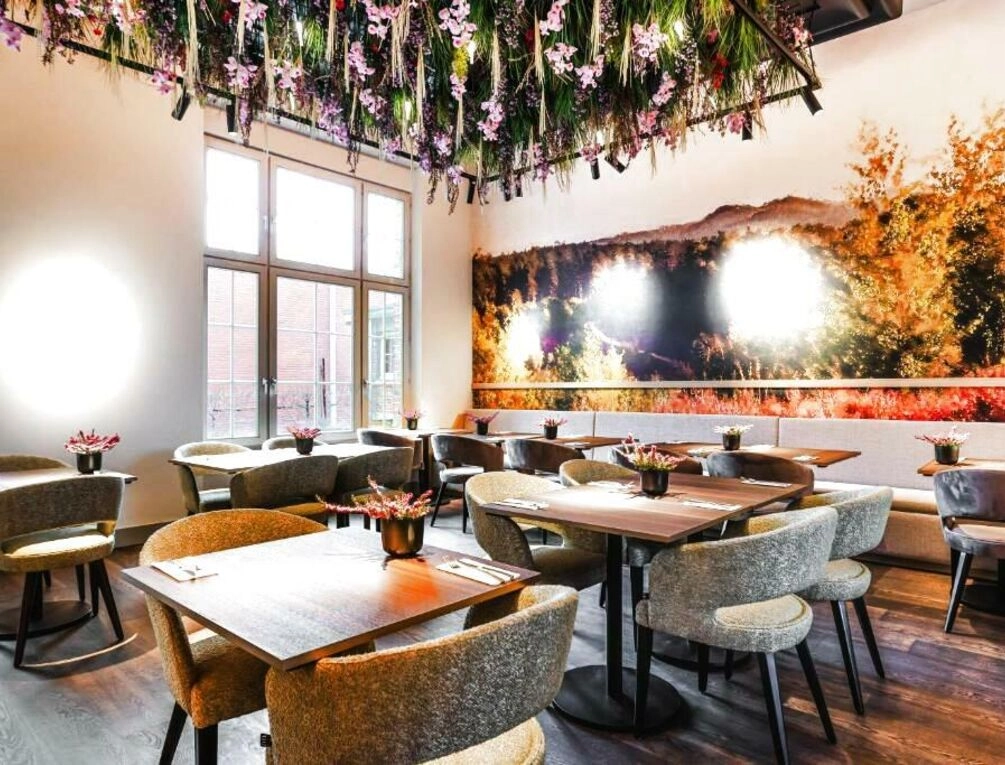 Afbeelding gerelateerd aan Terhills Hotel