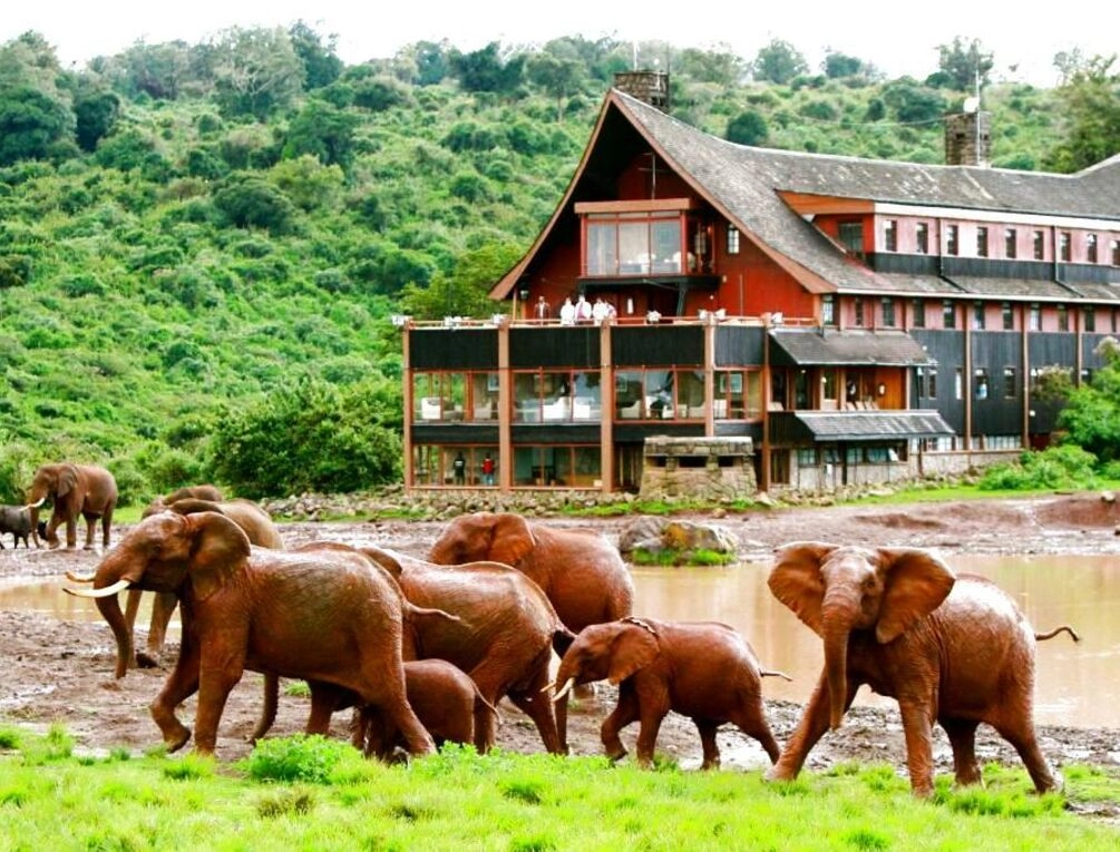 Afbeelding gerelateerd aan The Ark Lodge
