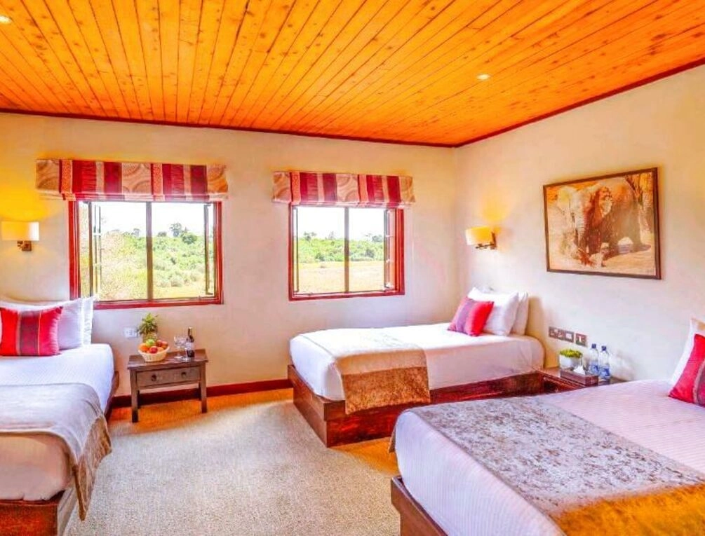 Afbeelding gerelateerd aan The Ark Lodge