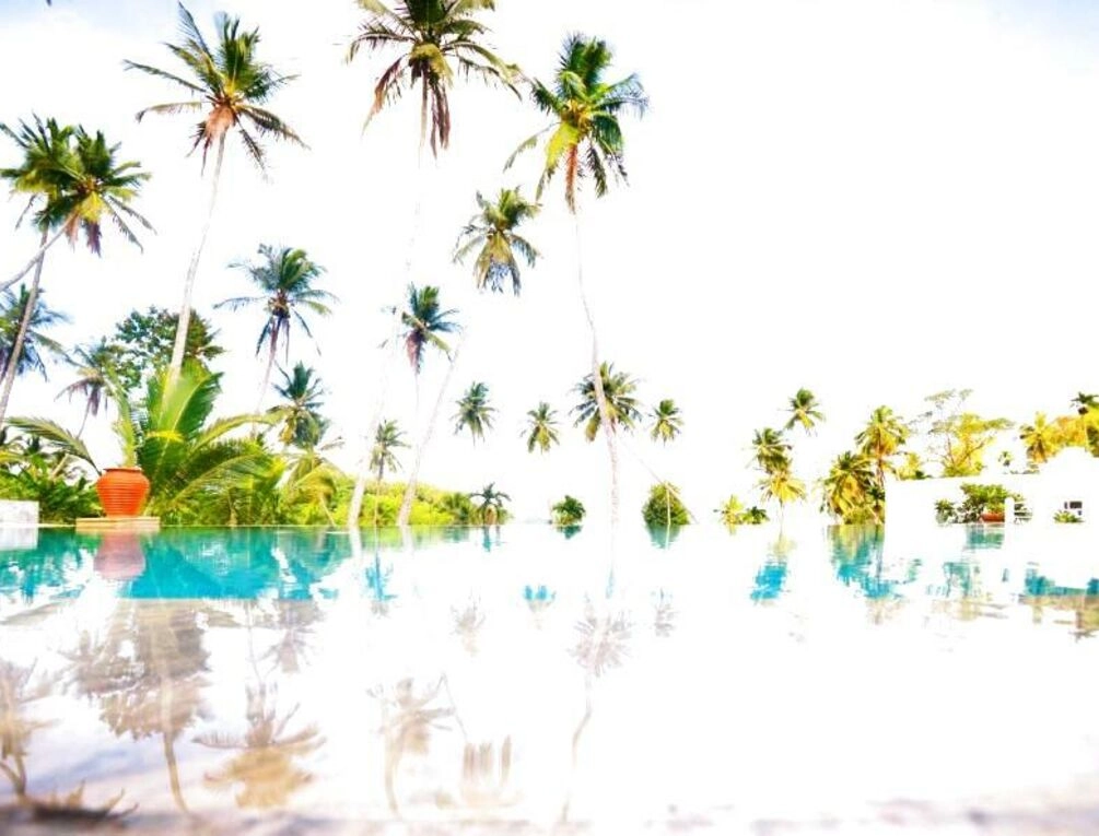 Afbeelding gerelateerd aan The Flame Tree Estate & Hotel