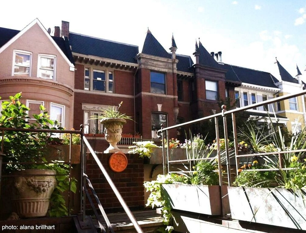 Afbeelding gerelateerd aan The Mansion on O Street