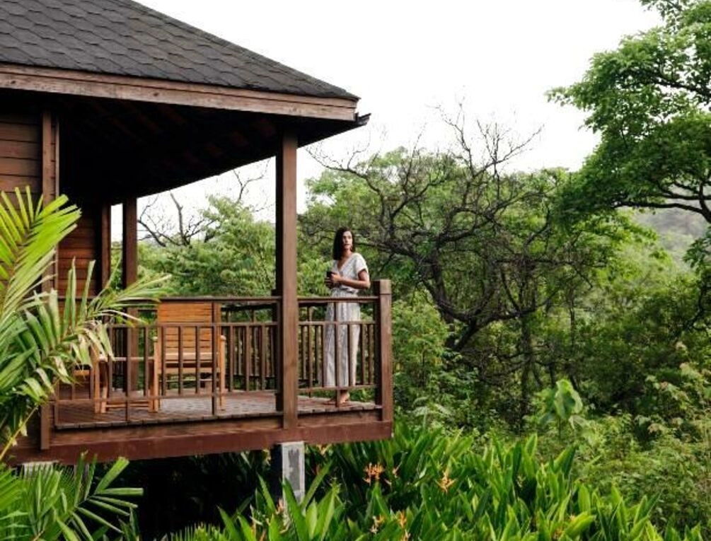 Afbeelding gerelateerd aan The Postcard Hideaway, Netravali Wildlife Sanctuary, Goa