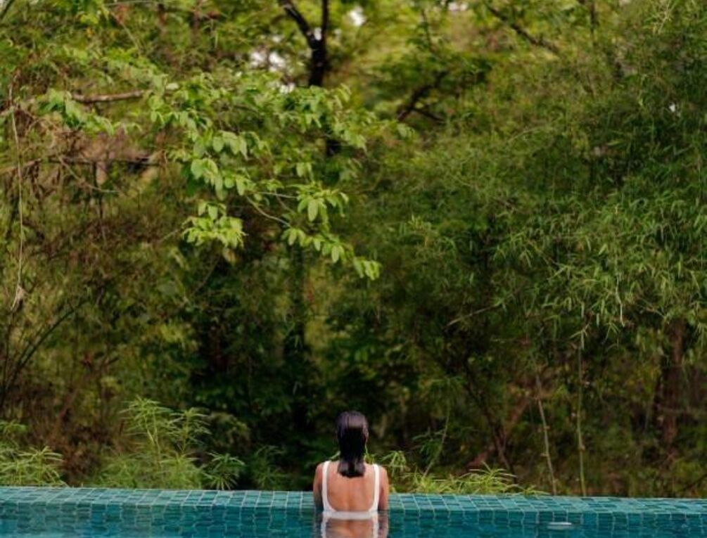 Afbeelding gerelateerd aan The Postcard Hideaway, Netravali Wildlife Sanctuary, Goa