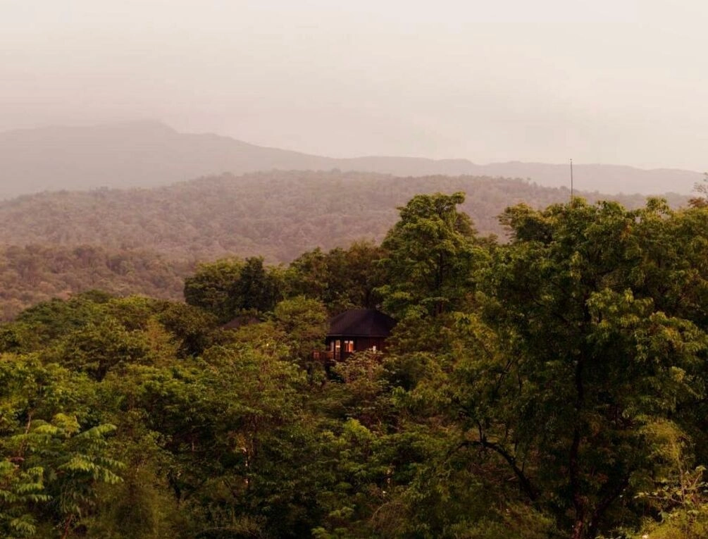 Afbeelding gerelateerd aan The Postcard Hideaway, Netravali Wildlife Sanctuary, Goa