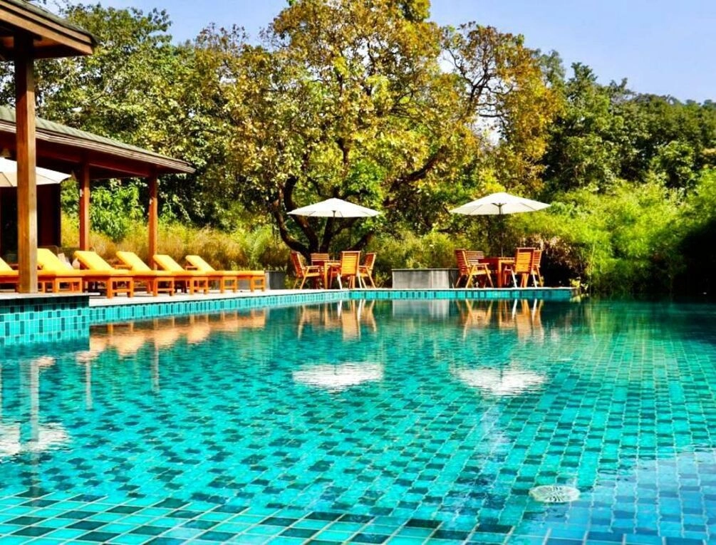 Afbeelding gerelateerd aan The Postcard Hideaway, Netravali Wildlife Sanctuary, Goa