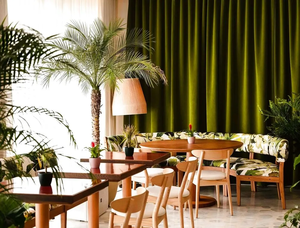 Afbeelding gerelateerd aan The Standard Ibiza