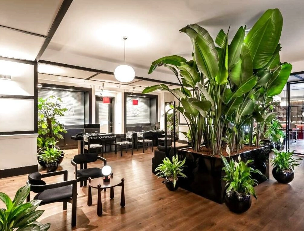Afbeelding gerelateerd aan The Stay Boulevard Nisantasi