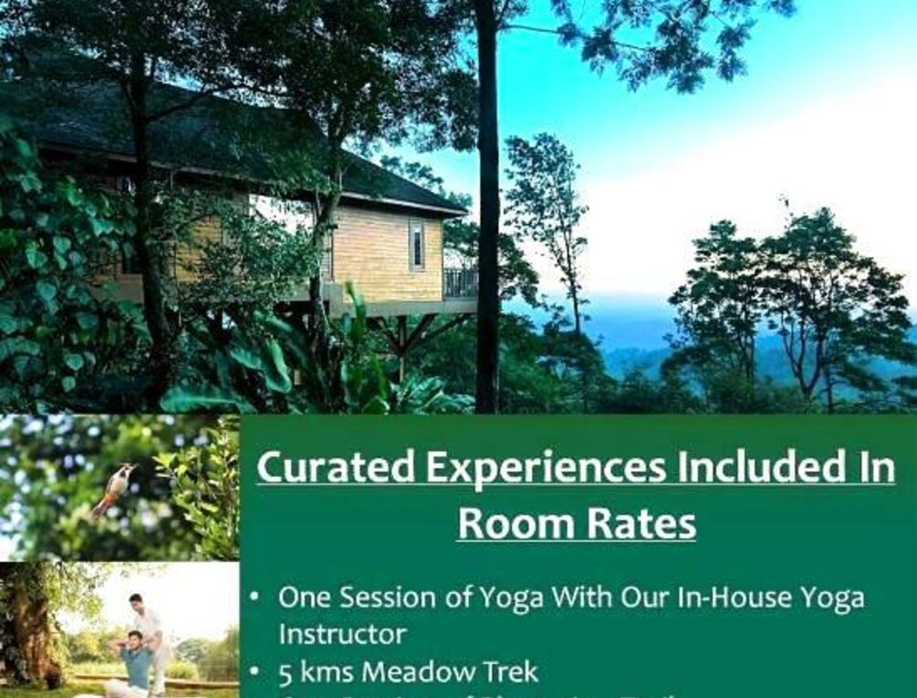 Afbeelding gerelateerd aan The Tamara Coorg
