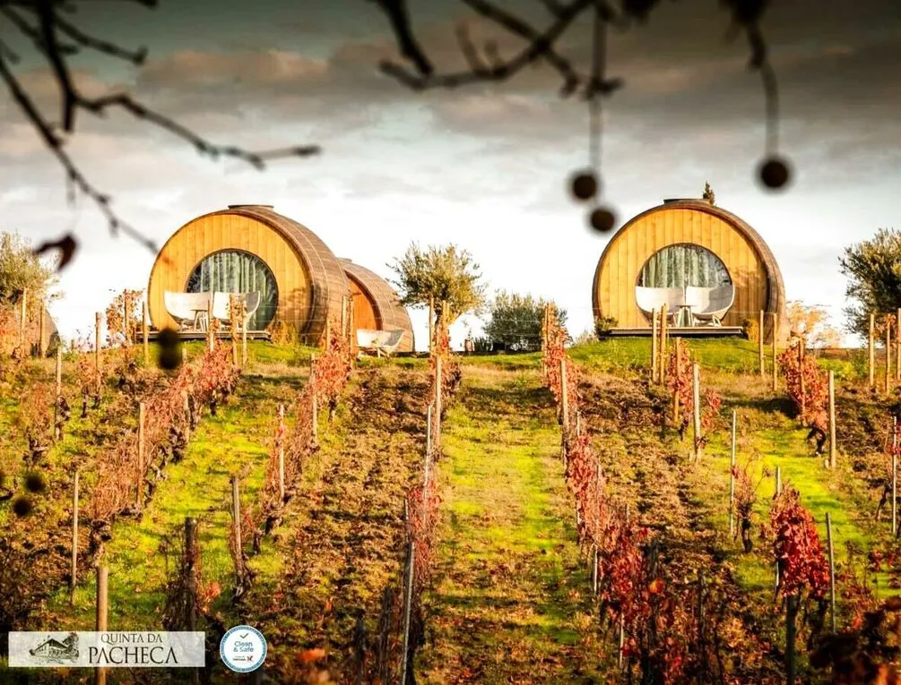 Afbeelding gerelateerd aan The Wine House Hotel - Quinta da Pacheca