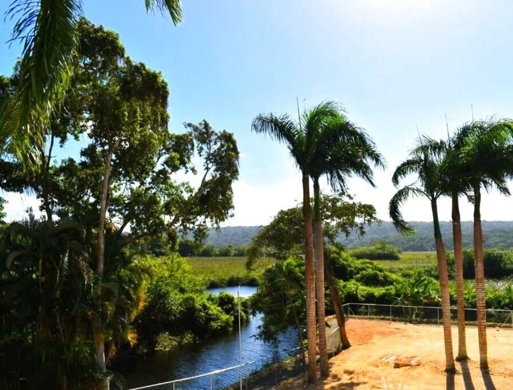 Afbeelding gerelateerd aan Tropical Casa Laguna