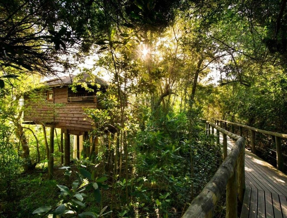 Afbeelding gerelateerd aan Tsala Treetop Lodge