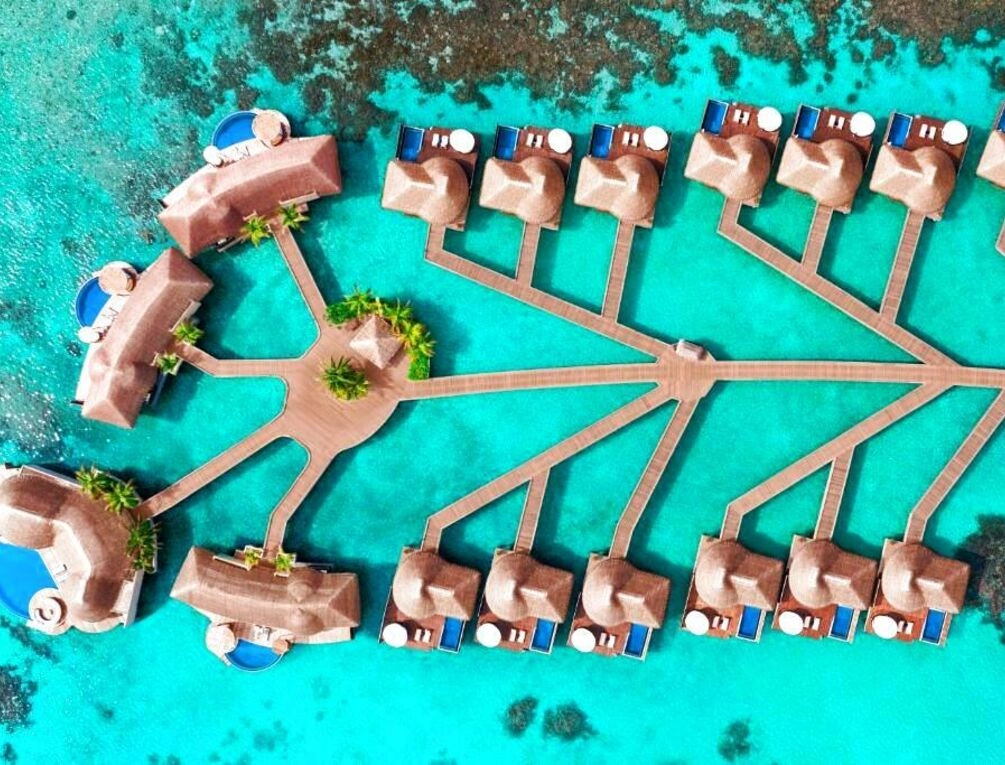 Afbeelding gerelateerd aan W Maldives