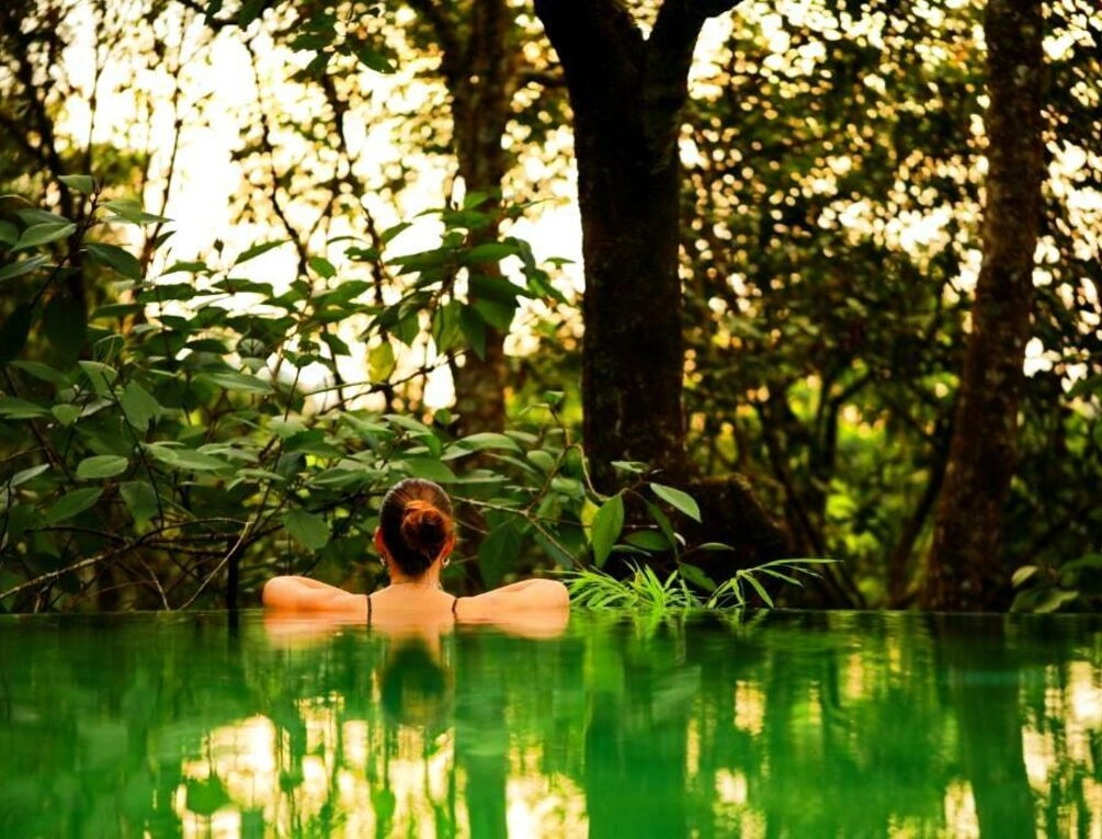 Afbeelding gerelateerd aan Wayanad Wild - A CGH Earth Experience