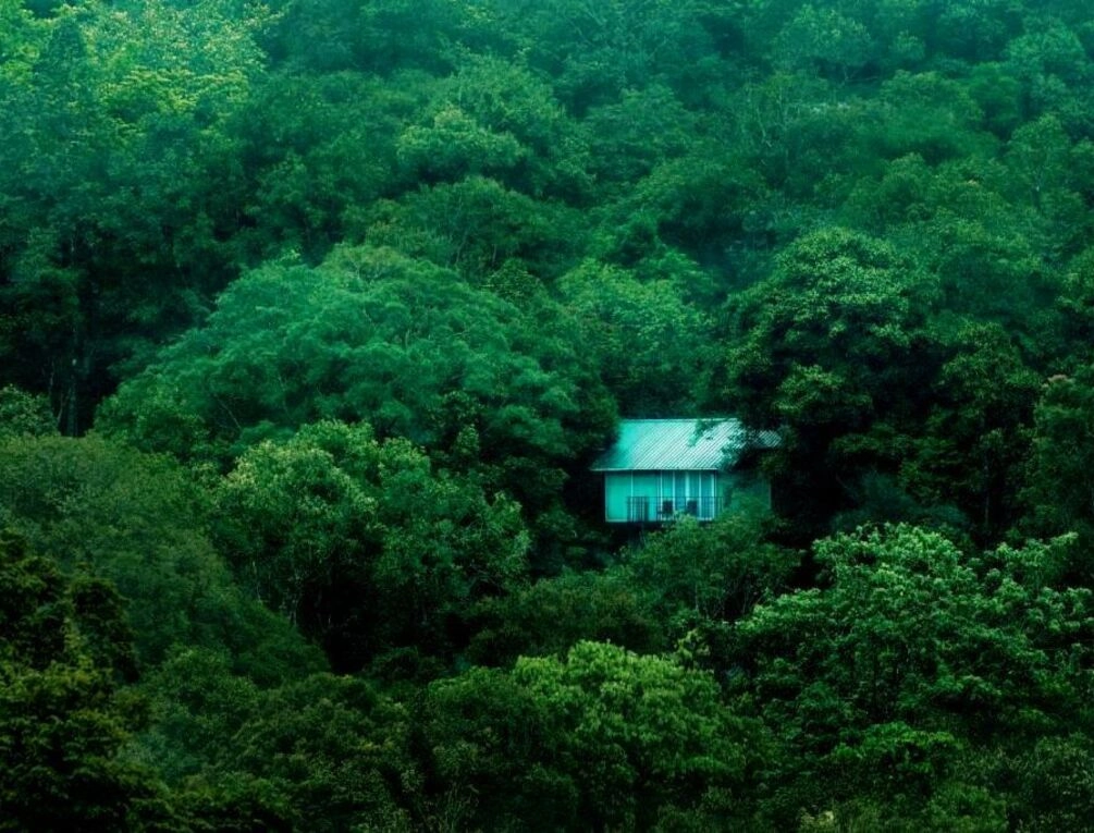 Afbeelding gerelateerd aan Wayanad Wild - A CGH Earth Experience