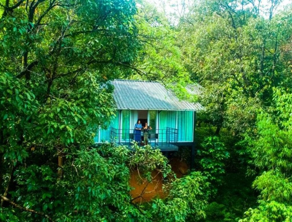 Afbeelding gerelateerd aan Wayanad Wild - A CGH Earth Experience