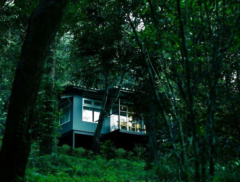 Afbeelding gerelateerd aan Wayanad Wild - A CGH Earth Experience