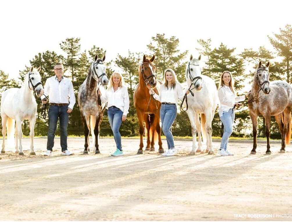 Afbeelding gerelateerd aan World of Horses Stables