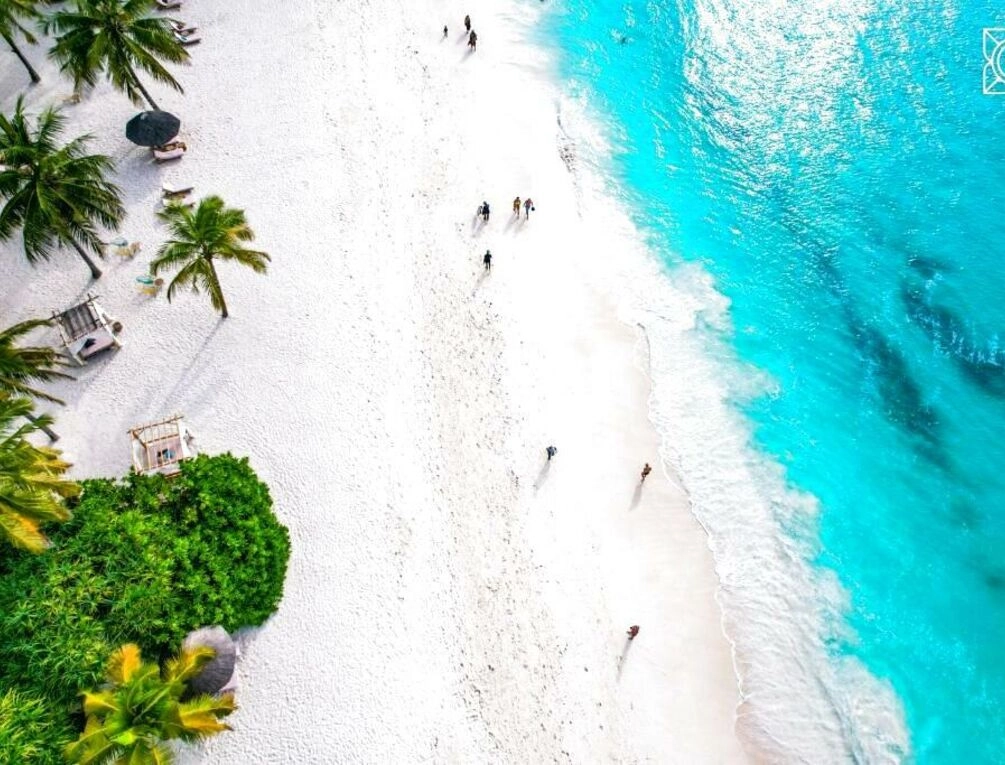 Afbeelding gerelateerd aan Zuri Zanzibar