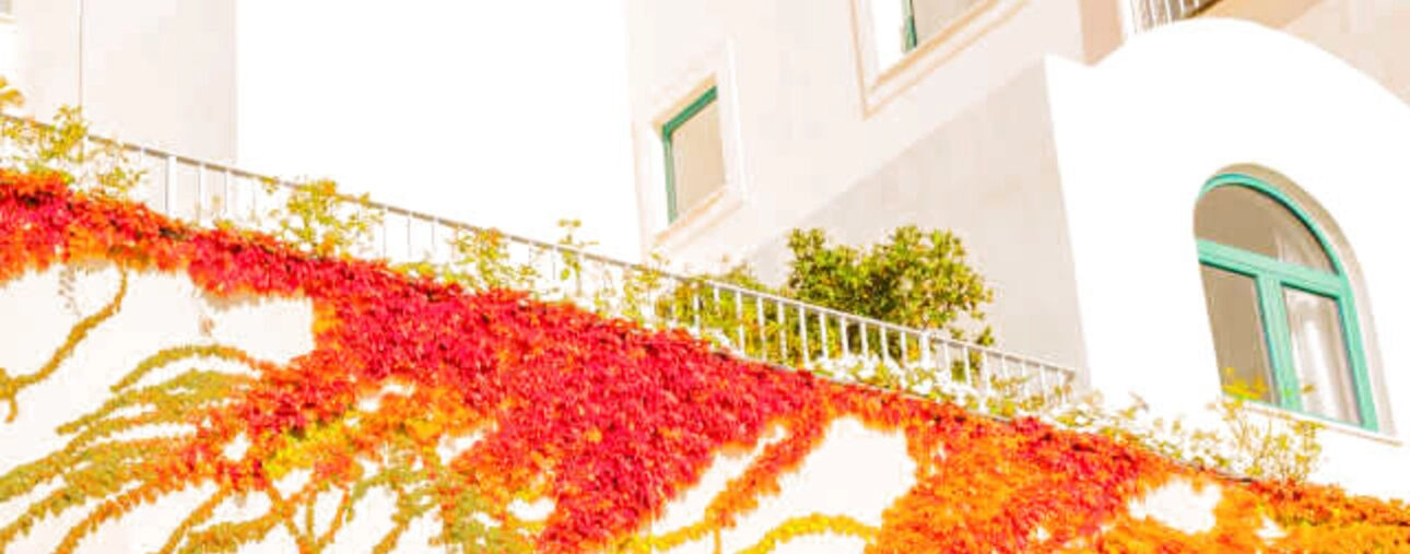 Ravello