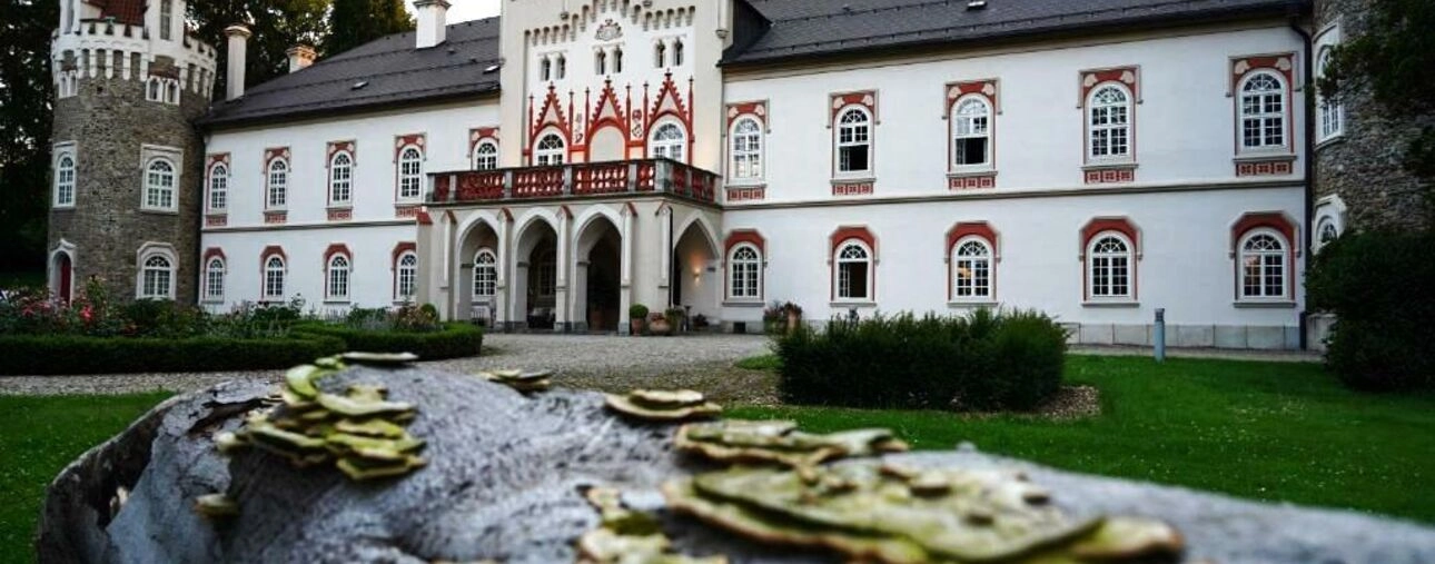 Herálec