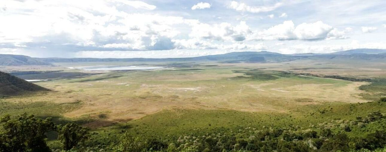 Ngorongoro