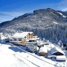 Hotel Almhof Family und Wellness Resort in Gerlos