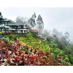 Hotel Chandys Drizzle Drops - Munnar Top Station