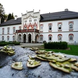 Chateau Herálec Boutique Hotel & Spa by L'Occitane