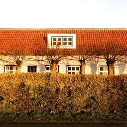 De 6 Linden Boutique Hotel in Sluis