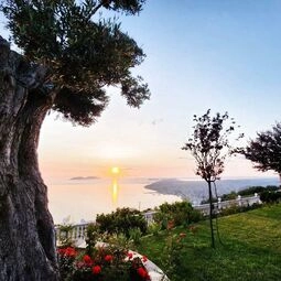 Festim Villa Hotel in Qendër Vlorë