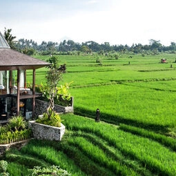Hotel Gdas Bali Health and Wellness Resort in Kecamatan Ubud