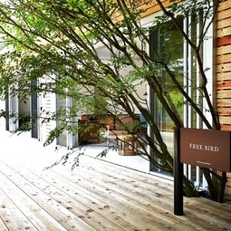 Hotel HAKONE RETREAT FÖRE by Onko Chishin in Hakone