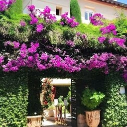 Hôtel La Villa Sainte Valérie Adults Only in Antibes
