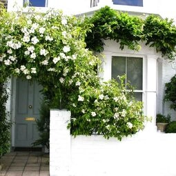 Hotel Hurlingham Bed and Breakfast in London