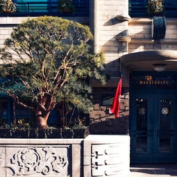 Hotel Marufukuro in Kyoto