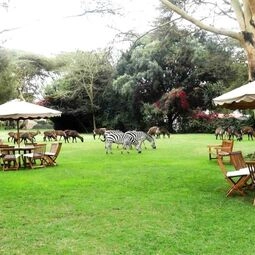 Hotel Muthu Lake Naivasha Country Club, Naivasha in Nairobi