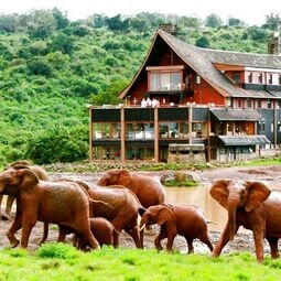 Hotel The Ark Lodge in Mweiga