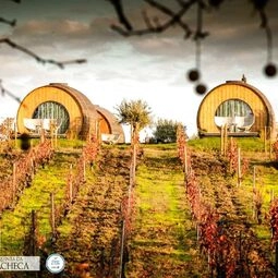 The Wine House Hotel - Quinta da Pacheca in Lamego