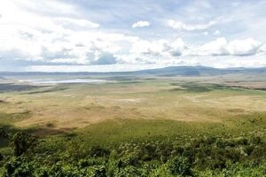Ngorongoro