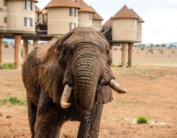 Kenia