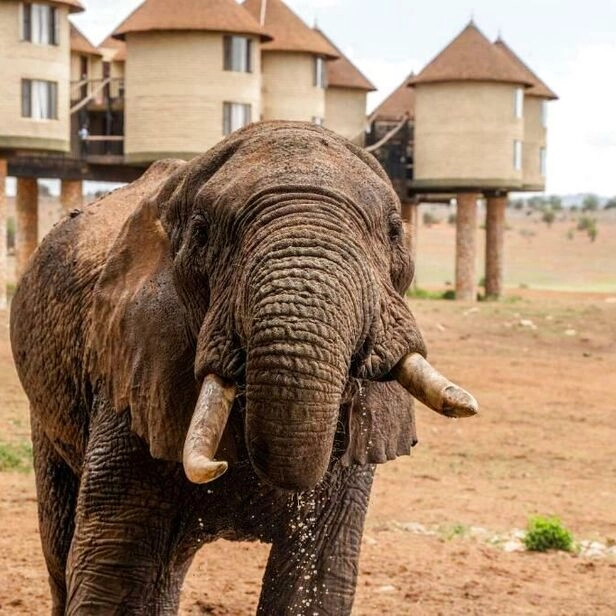 Kenya